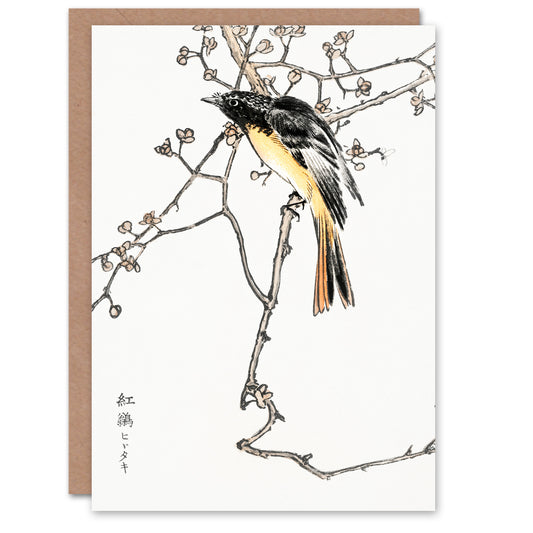 Numata Kashu Siberian Blue Tail Bird Japanese Greetings Card