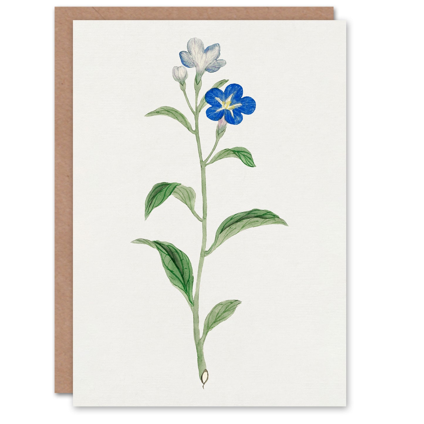 Vintage Japanese Botanical Blue Flower Greetings Card
