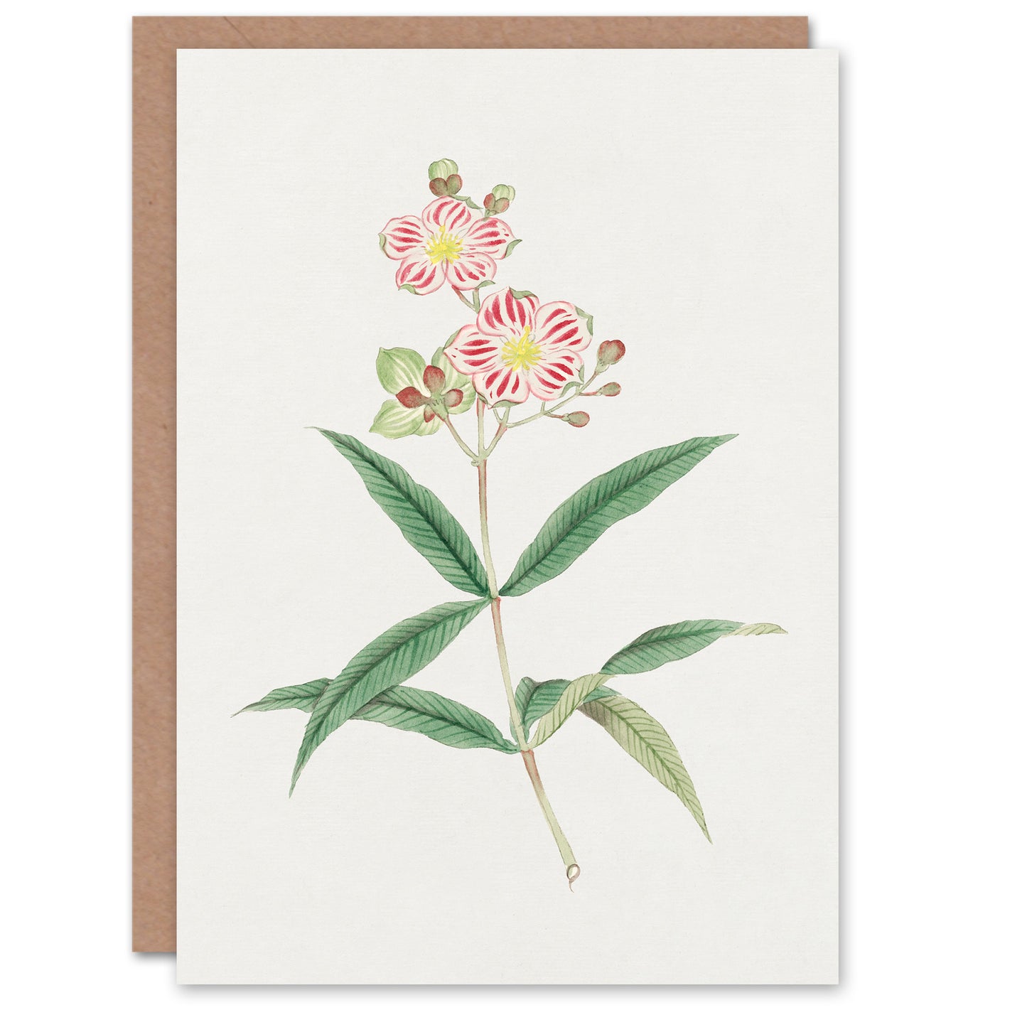 Vintage Japanese Botanical Red White Blossoms Greetings Card