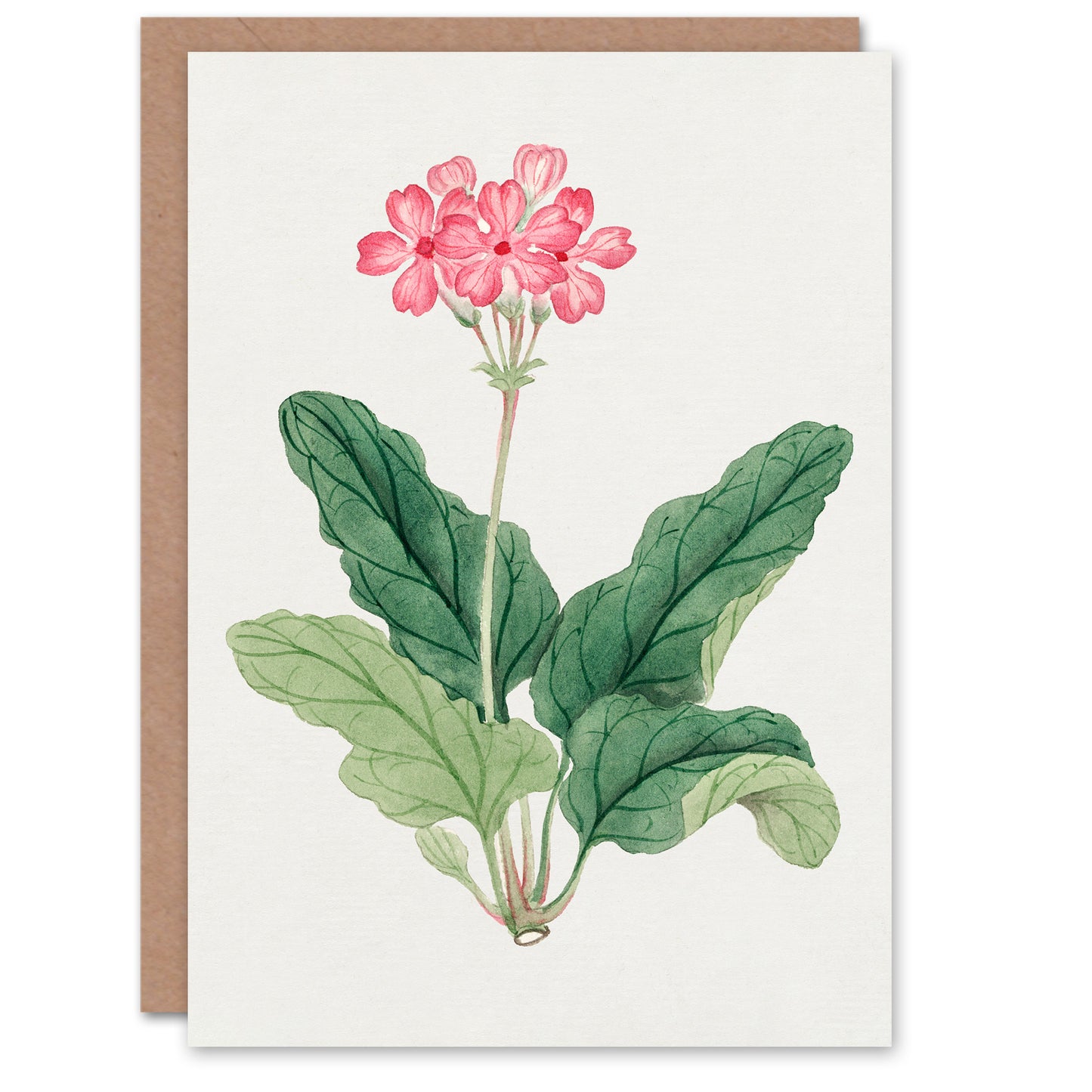Vintage Japanese Botanical Sakura Flower Greetings Card