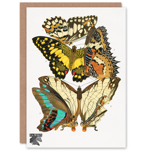 Eugene Seguy Papillons Butterflies Illustration Greetings Card