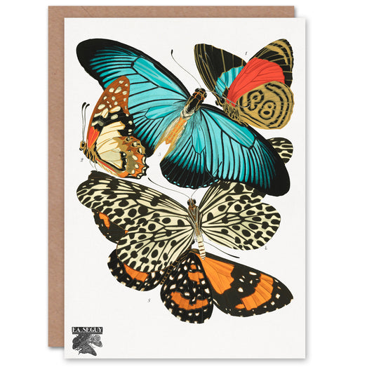 Eugene Seguy Vintage Butterflies Blue and Orange Greetings Card