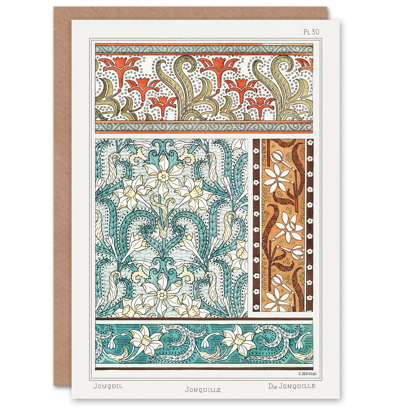 Maurice Pillard Verneuil Daffodil Floral Patterns Greetings Card