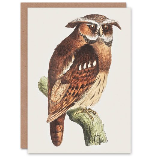Theo van Hoytema Eagle Owl Perched on a Branch Greetings Card