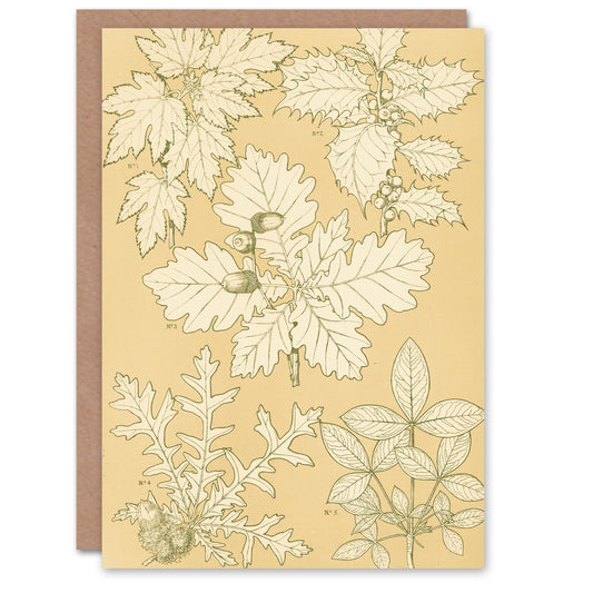 Owen Jones Art Card Oak Leaves and Acorns Vintage Botanical