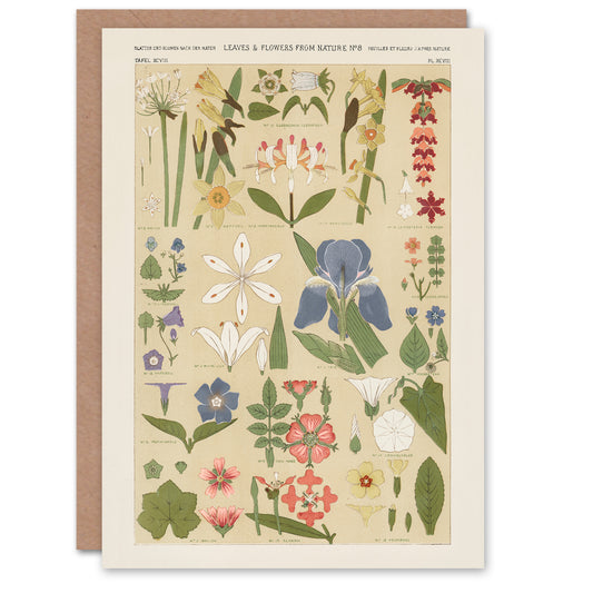 Owen Jones Art Card Leaves and Flowers From Nature No 8
