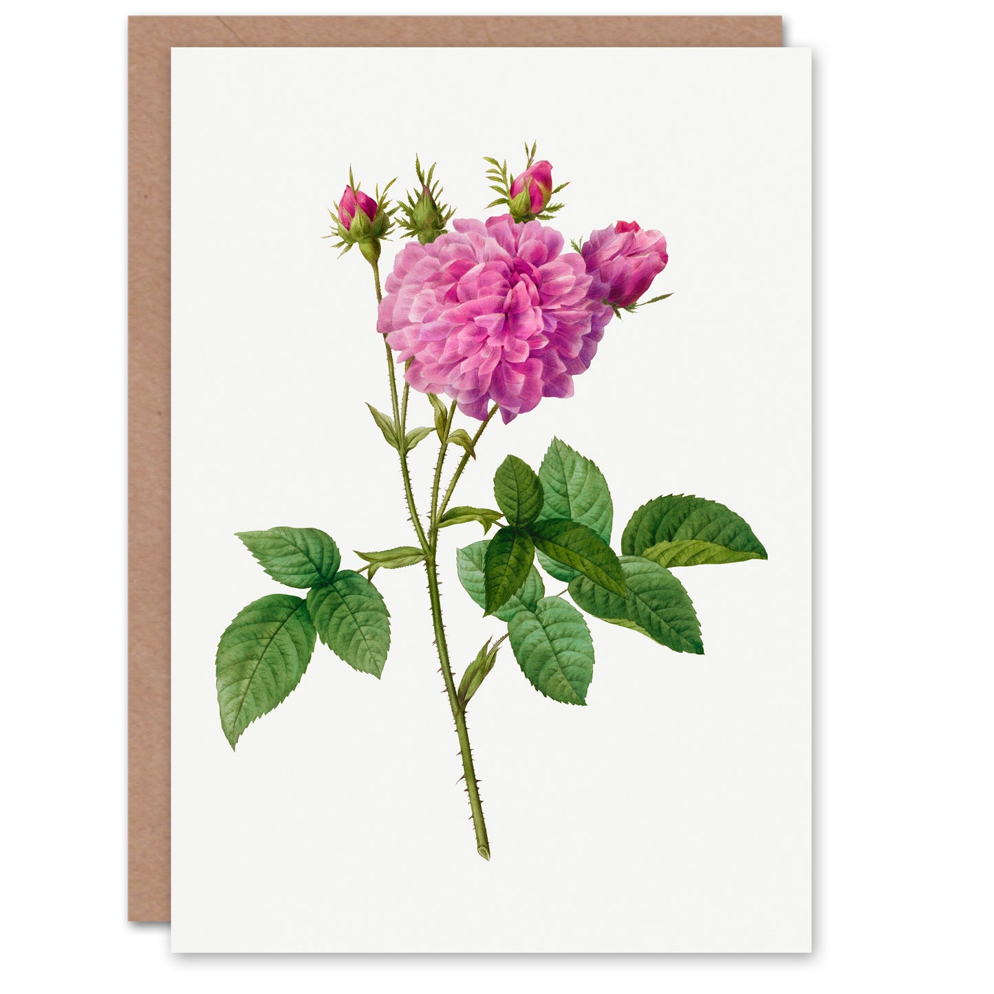 Pierre-Joseph Redouté Art Card Agatha Rose Vintage Floral