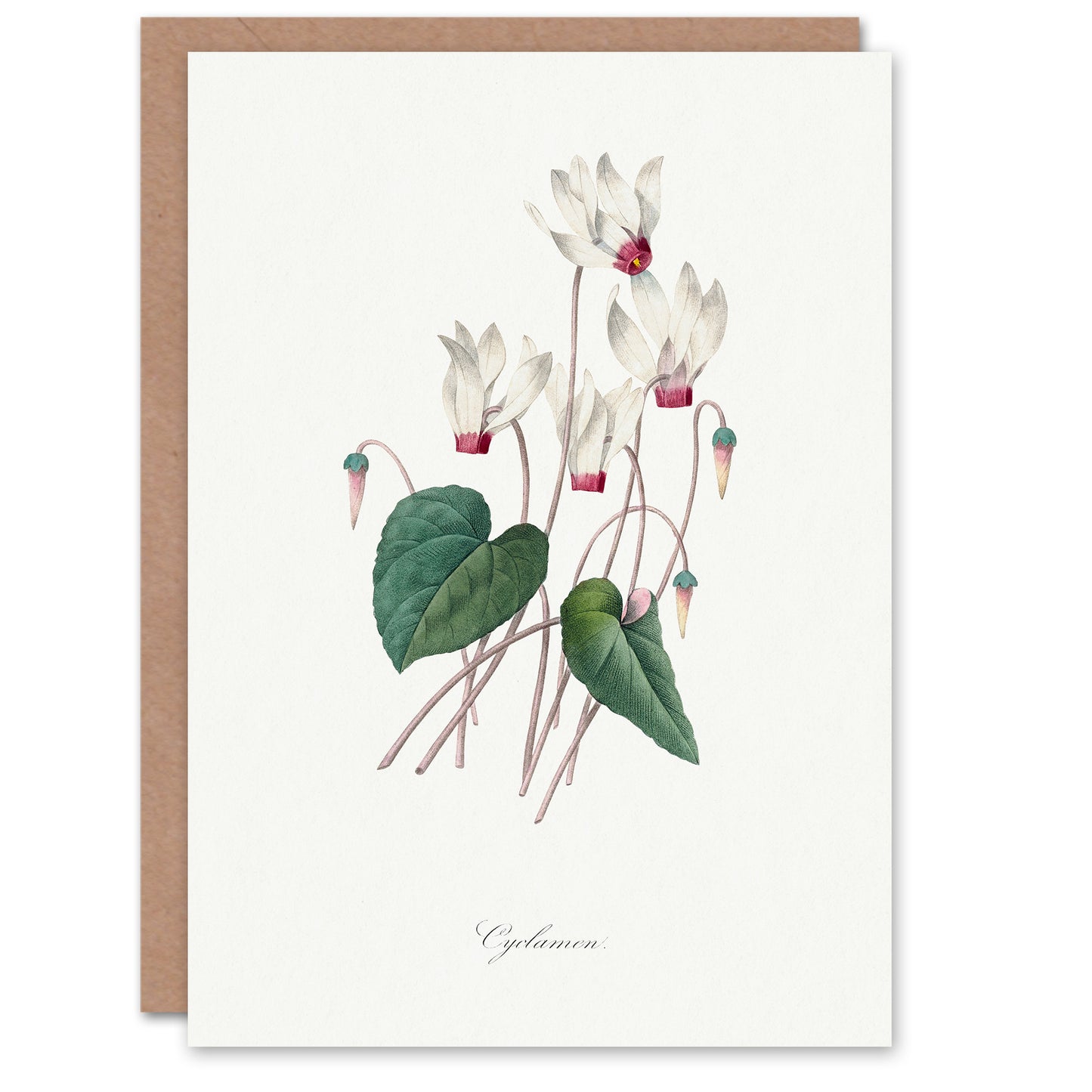 Pierre-Joseph Redouté Art Card Cyclamen Vintage Floral Illustration