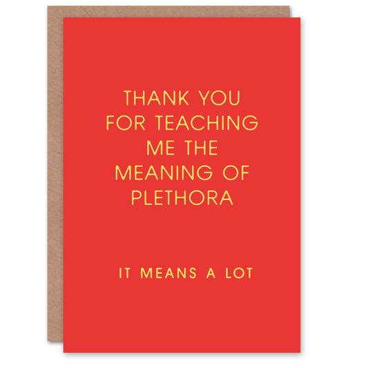 Teaching Me The Meaning of Plethora Joke Funny Thank You Card
