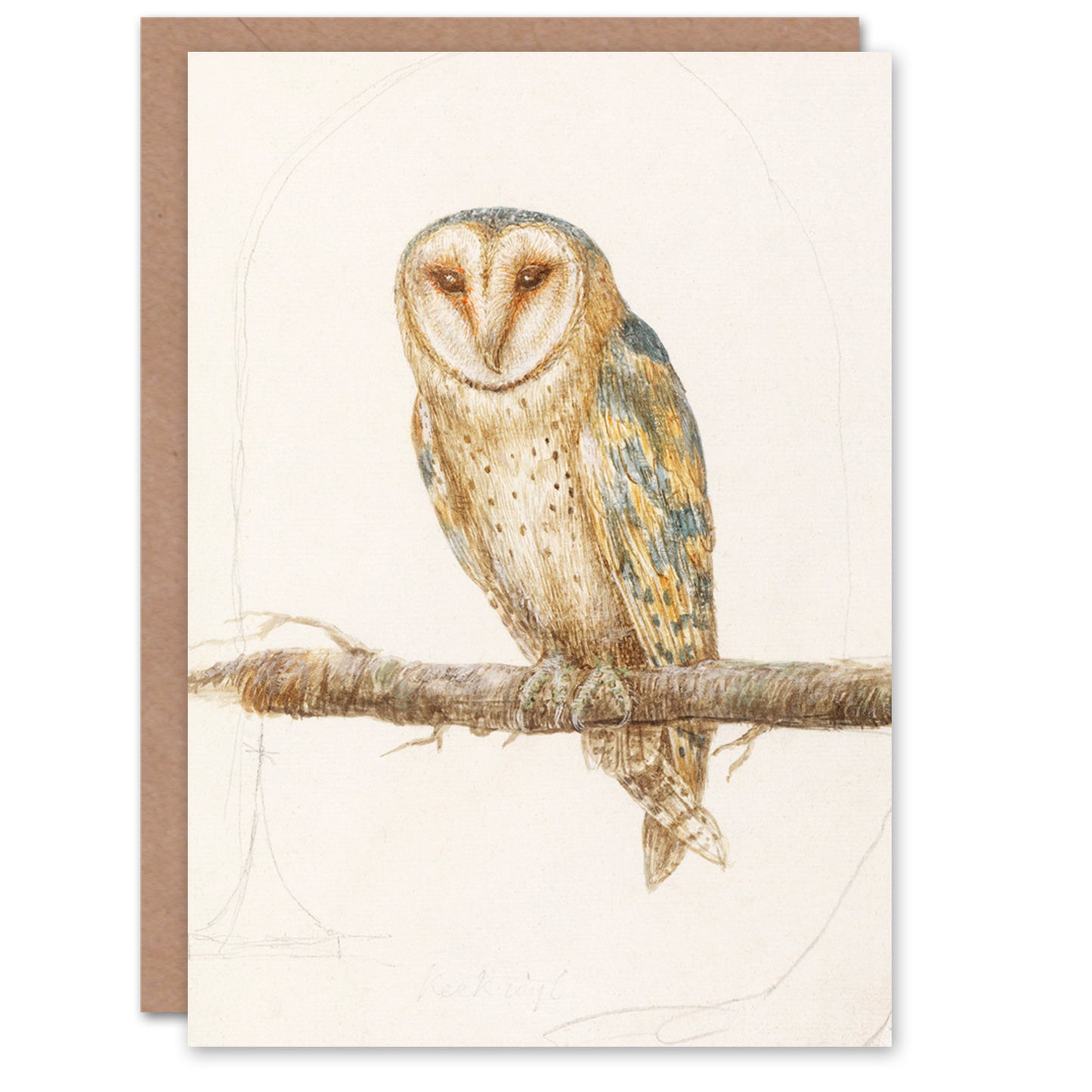 Anselmus de Boodt Art Card Barn Owl Tyto Alba Bird Drawing