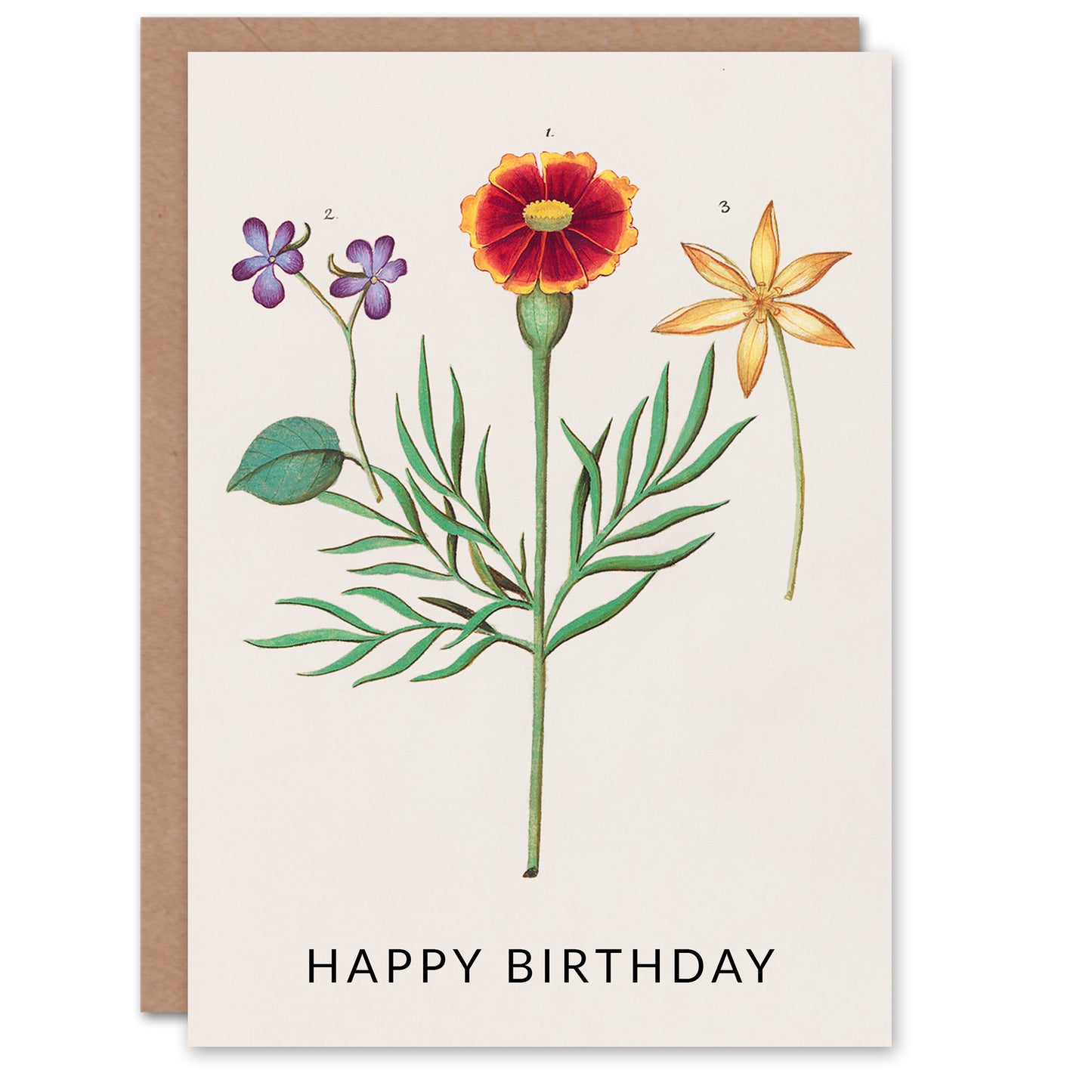 Anselmus de Boodt Birthday Card Tagetes Violet and Daffodil Flowers