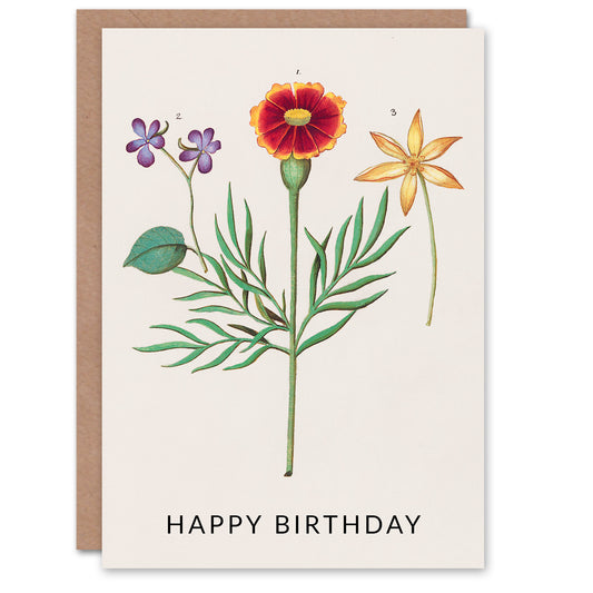 Anselmus de Boodt Birthday Card Tagetes Violet and Daffodil Flowers