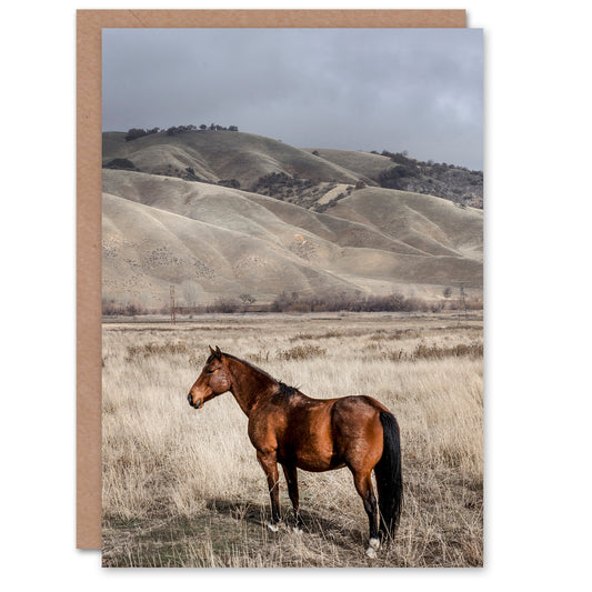 Carol M Highsmith Art Card Lone Horse in a Ranch Photograph