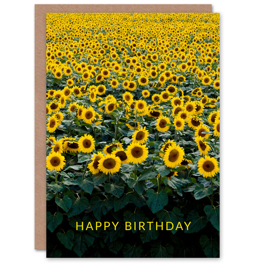 Carol M Highsmith Birthday Card Sunflowers in a Wisconsin Field