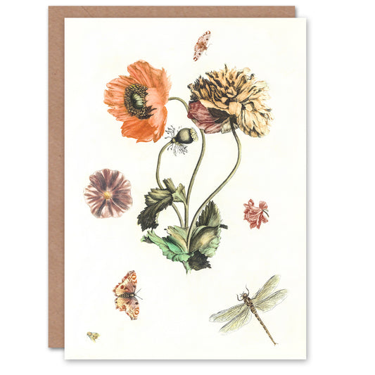 Johan Teyler Art Card Poppies Butterflies and Dragonfly