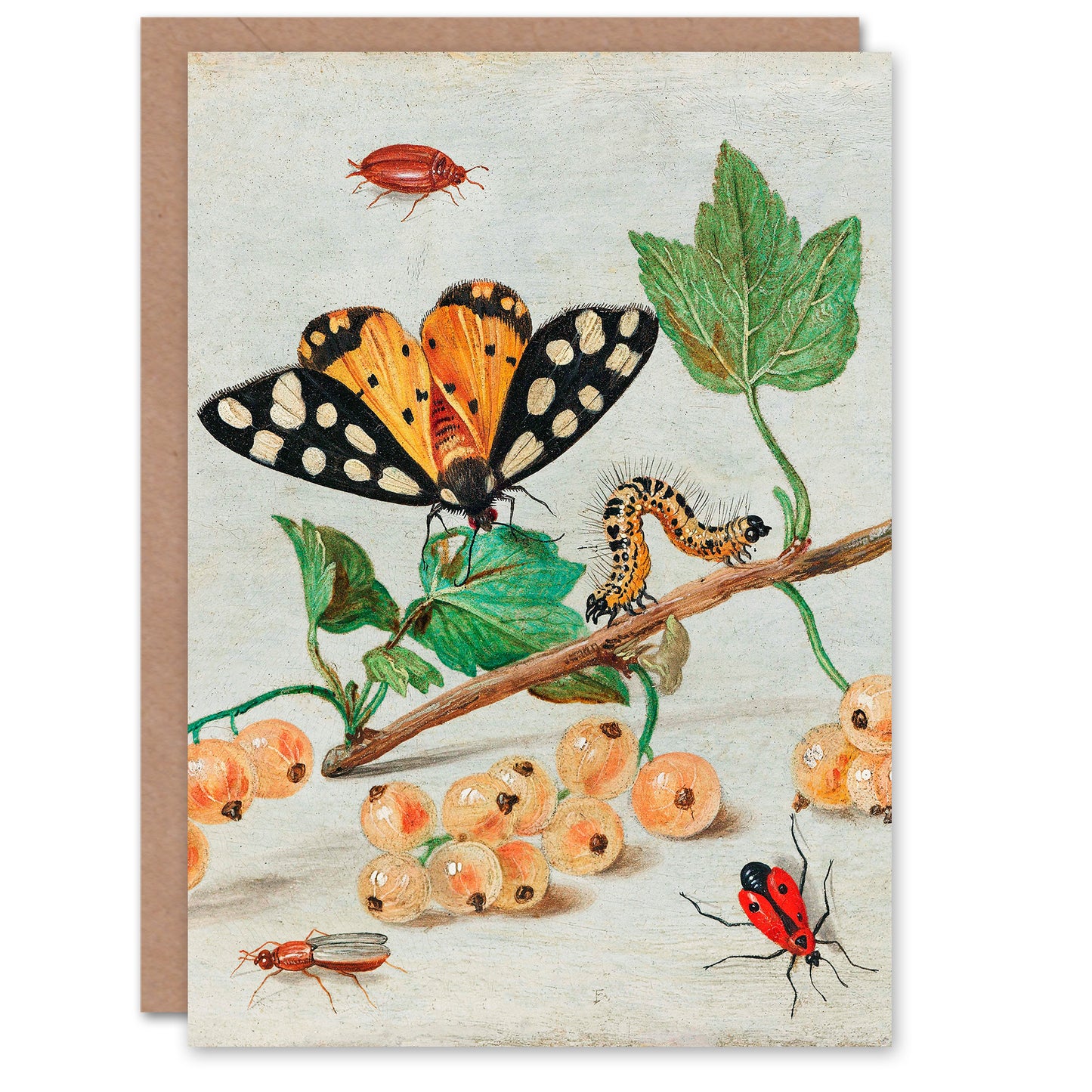 Jan Van Kessel Art Card Sprig of White Currants with Insects