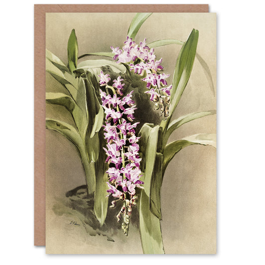 Frederick Sander Aerides Savageanum Orchid Flowers Art Greeting Card