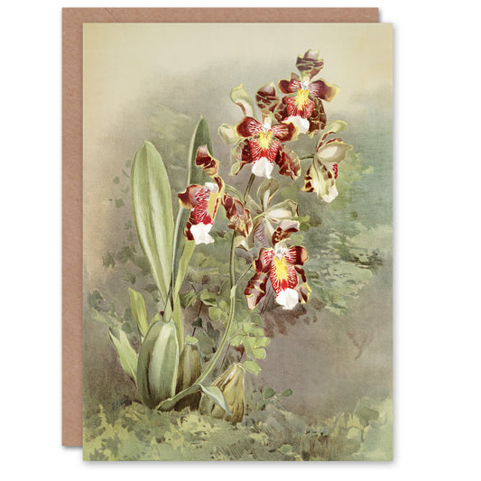 Frederick Sander Odontoglossum Harryanum Orchid Art Greeting Card