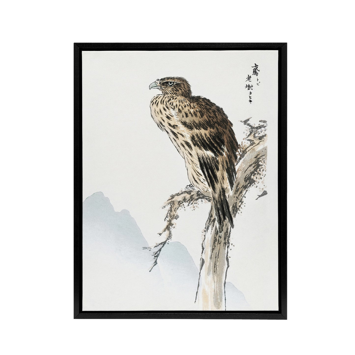 Black Eared Kite Bird Japanese Framed Canvas Wall Art Print Kashu