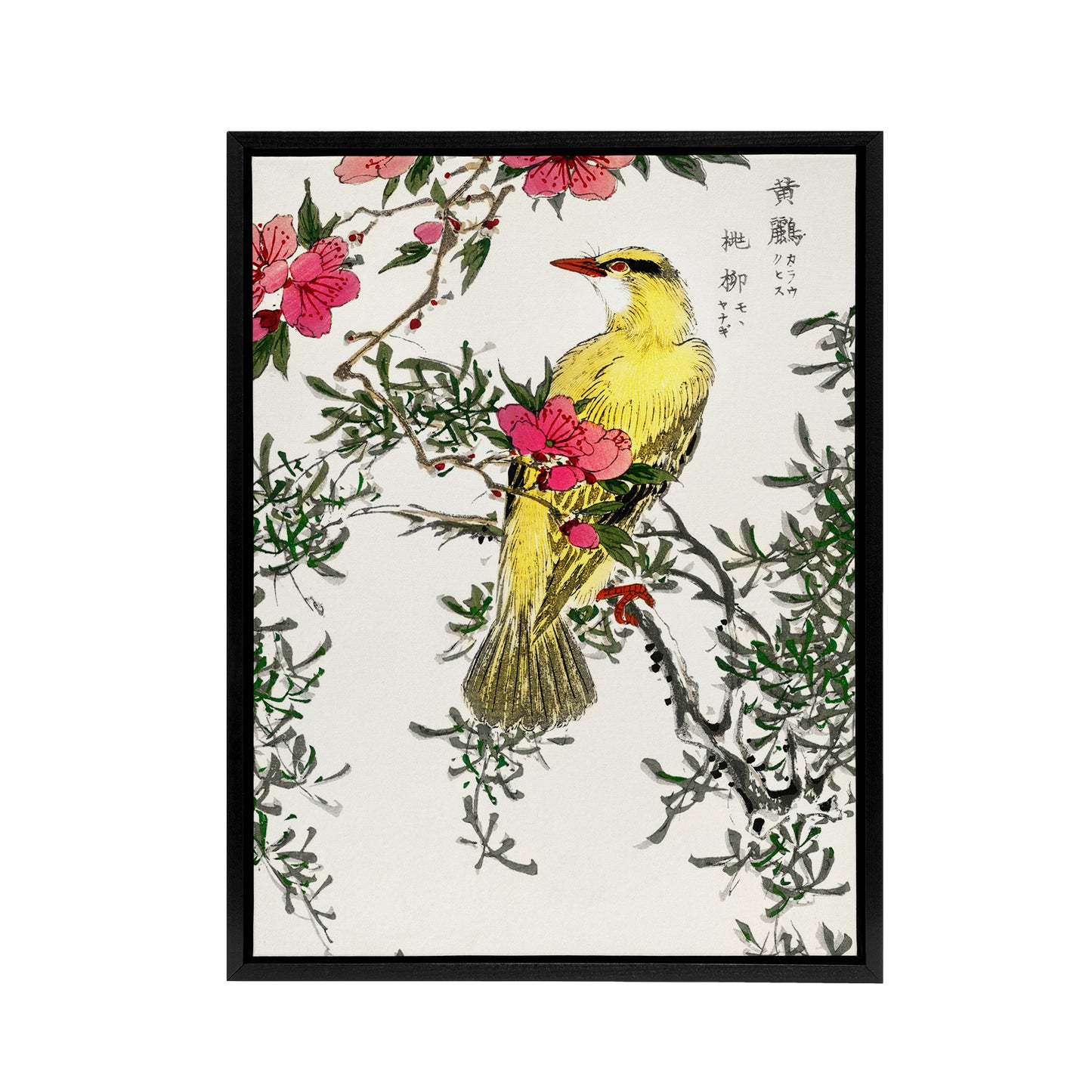 Bush Warbler and Drooping Peach Tree Framed Canvas Wall Art Print Kashu