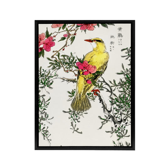 Bush Warbler and Drooping Peach Tree Framed Canvas Wall Art Print Kashu