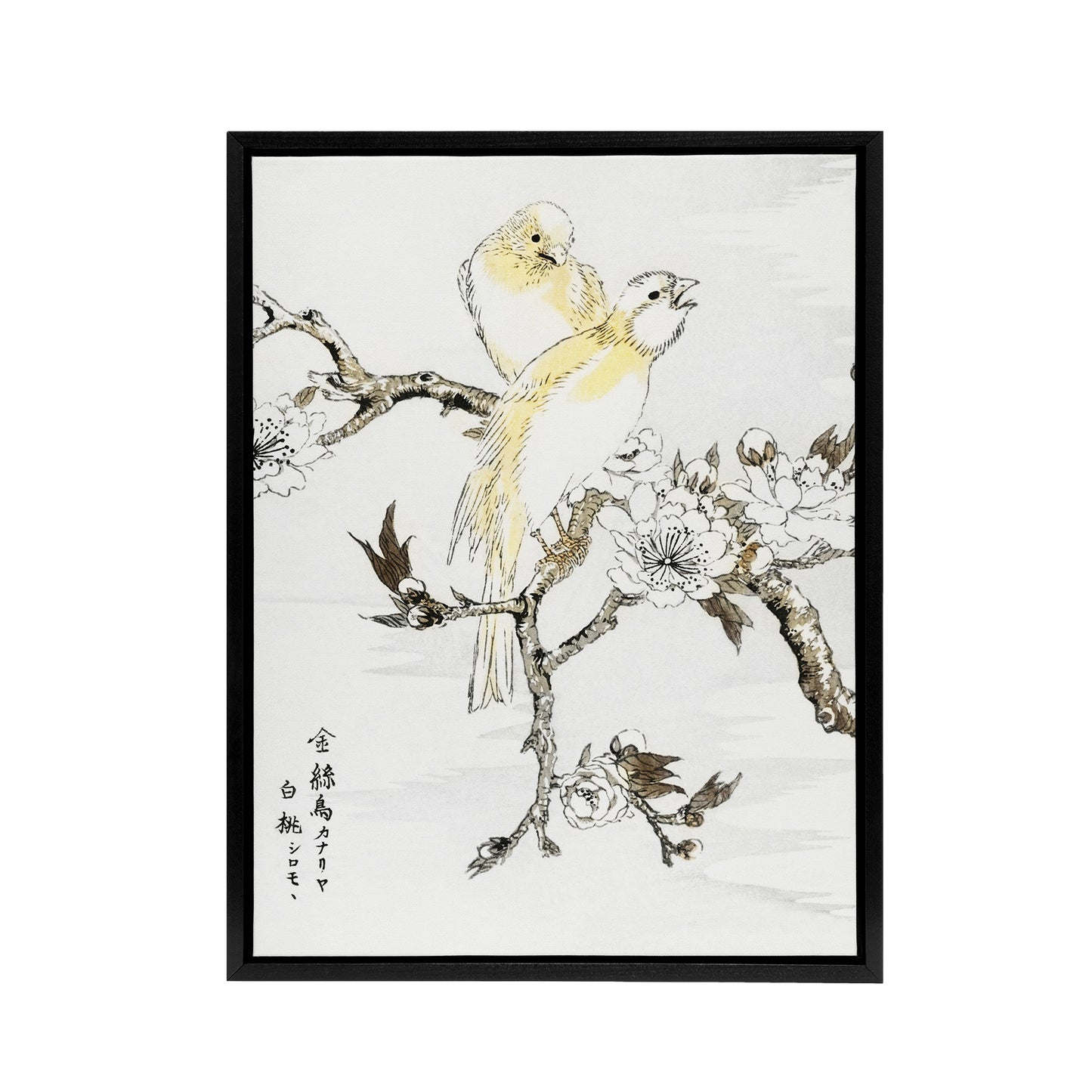 Canary Peach Tree Flowers Japanese Framed Canvas Wall Art Print Kashu