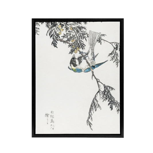 Great Tit and Cypress Japanese Framed Canvas Wall Art Print Kashu