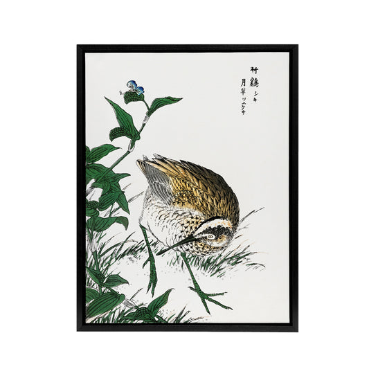Greenshank and Bupleurum Japanese Framed Canvas Wall Art Print Kashu