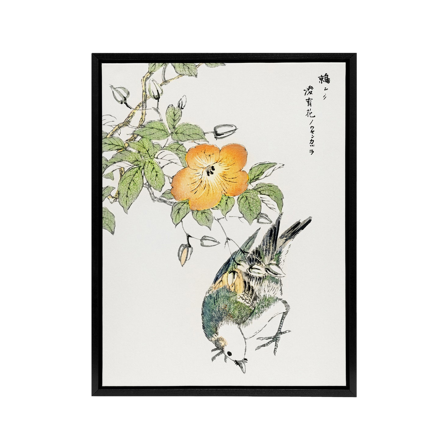Grey Starling Japan Tree Katsura Framed Canvas Wall Art Print Kashu