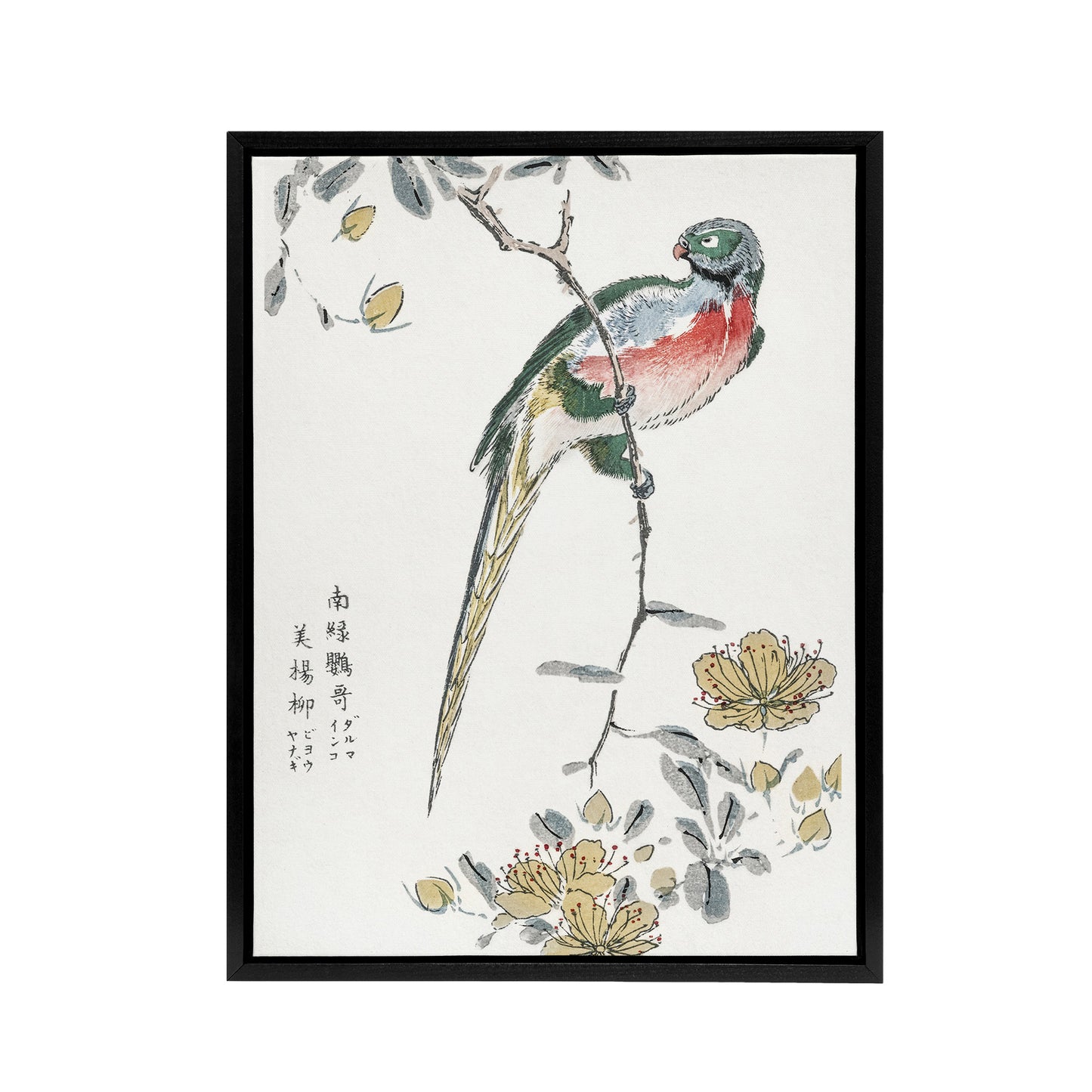 Macaw Parrot and Peach Flowers Framed Canvas Wall Art Print Numata Kashu