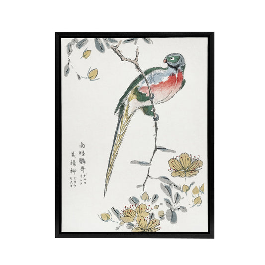 Macaw Parrot and Peach Flowers Framed Canvas Wall Art Print Numata Kashu