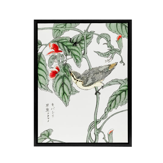 Tree Creeper and Pea Japanese Framed Canvas Wall Art Print Kashu