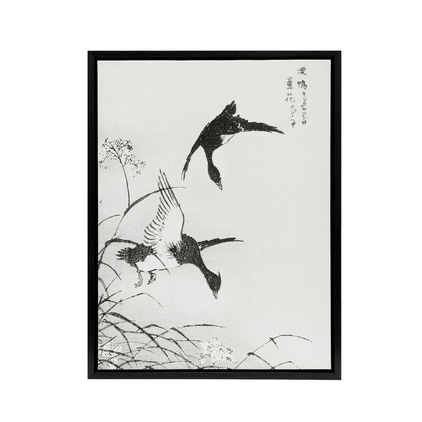 Tufted Duck and Reed Flower Japanese Framed Canvas Wall Art Print Kashu