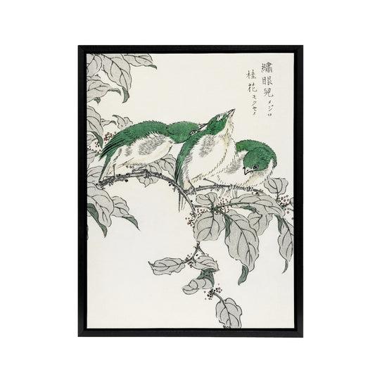 White Eye and Osmanthus Japanese Framed Canvas Wall Art Print Kashu