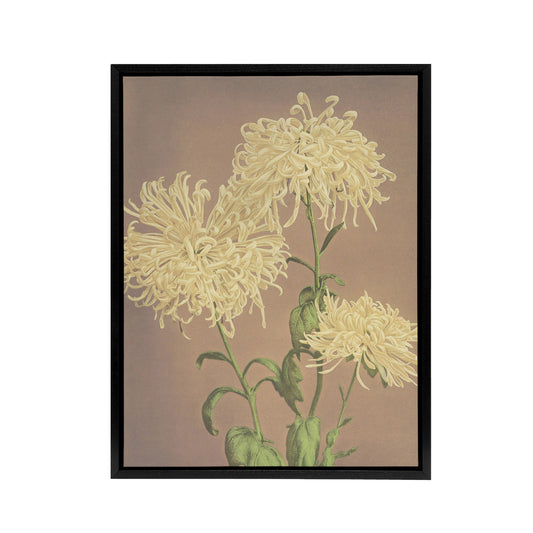 Three Yellow Chrysanthemums Framed Canvas Wall Art Print Ogawa Kazumasa