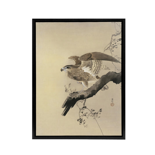 Hawk Bird of Prey on Tree Branch Framed Canvas Wall Art Print Koson