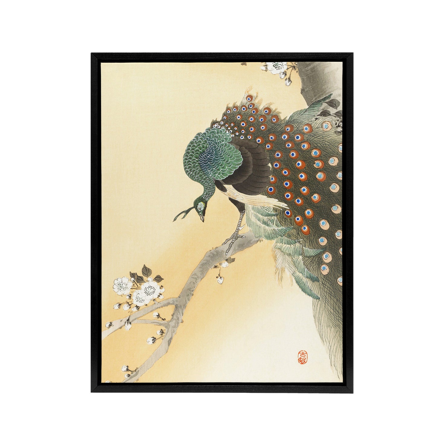 Peacock On A Cherry Blossom Tree Framed Canvas Wall Art Print Koson