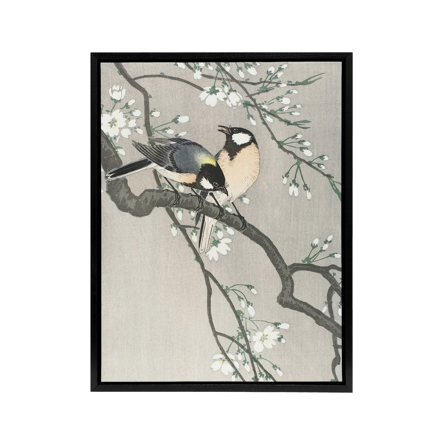Tits On Blooming Cherry Branch Framed Canvas Wall Art Print Ohara Koson
