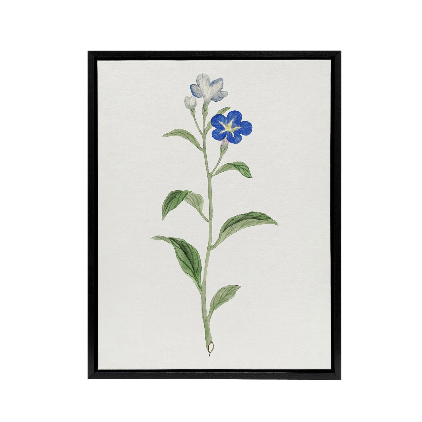 Blue Flower Framed Canvas Wall Art Print Vintage Japanese Botanical
