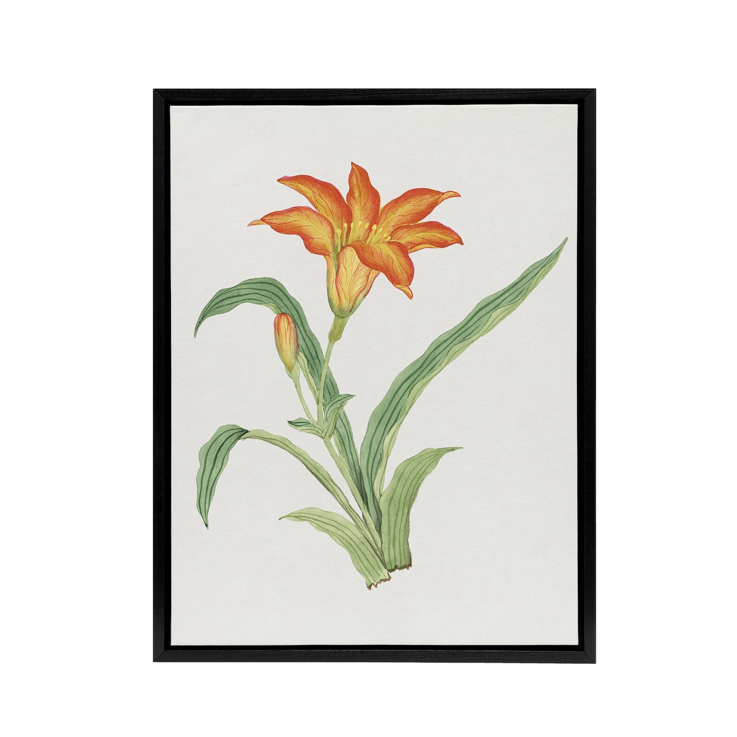 Orange Lily Flower Framed Canvas Wall Art Print Vintage Japan Botanical