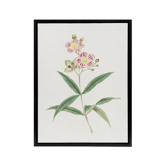 Red White Blossoms Framed Canvas Wall Art Print Vintage Japan Botanical