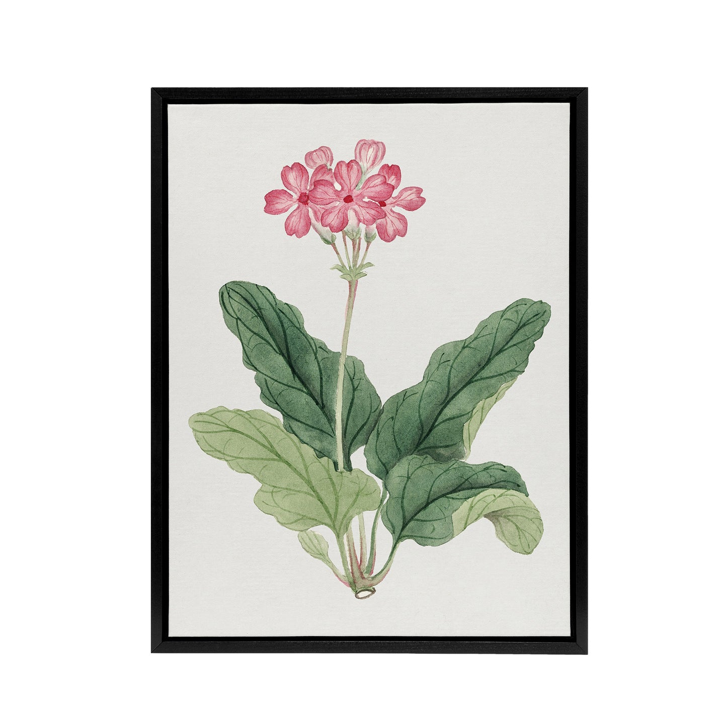 Sakura Flower Framed Canvas Wall Art Print Vintage Japanese Botanical