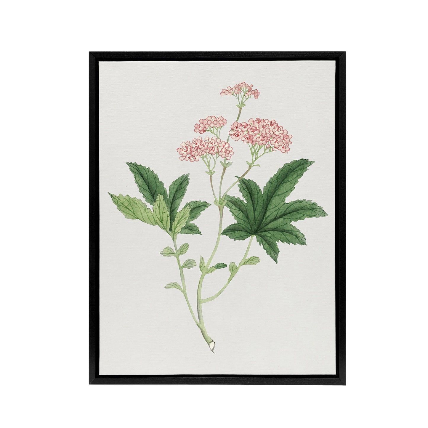 Shimotsuke Flower Framed Canvas Wall Art Print Vintage Japan Botanical