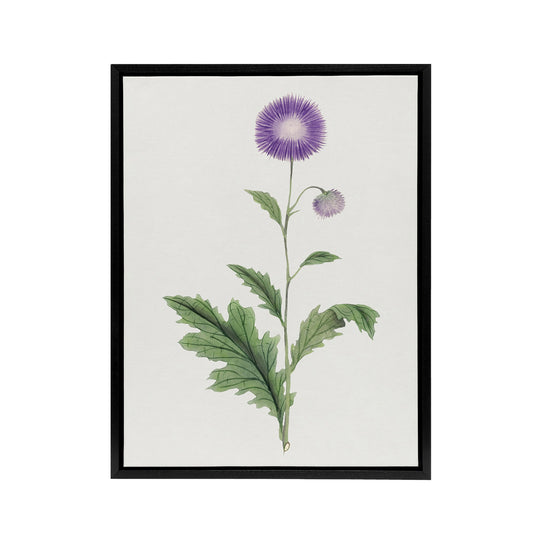 Thistle Flower Framed Canvas Wall Art Print Vintage Japanese Botanical