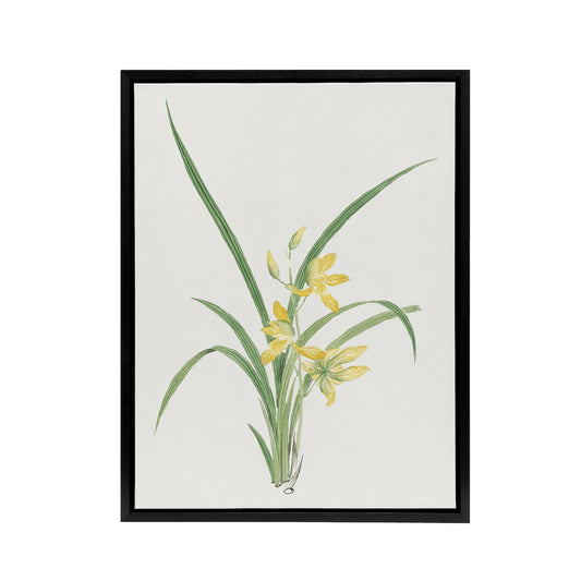 Yellow Lilies Framed Canvas Wall Art Print Vintage Japanese Botanical