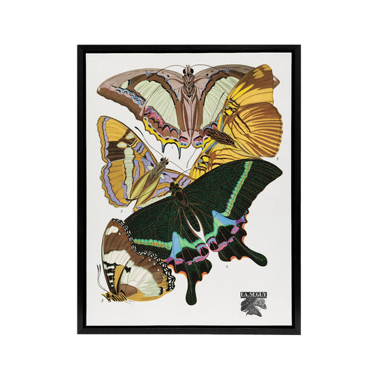 Bright Vintage Butterflies Papillons Framed Canvas Wall Art Print Seguy