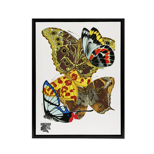 Papillons Bright Vintage Butterflies Framed Canvas Wall Art Print Seguy
