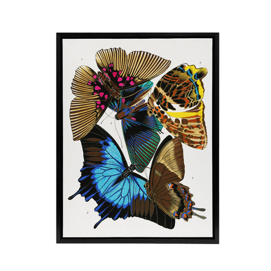 Colourful Vintage Butterflies Framed Canvas Wall Art Print Eugene Seguy