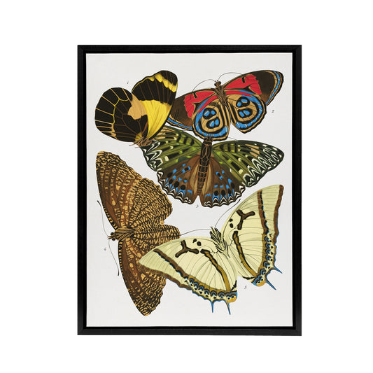 Vintage Butterflies Papillons Framed Canvas Wall Art Print Eugene Seguy