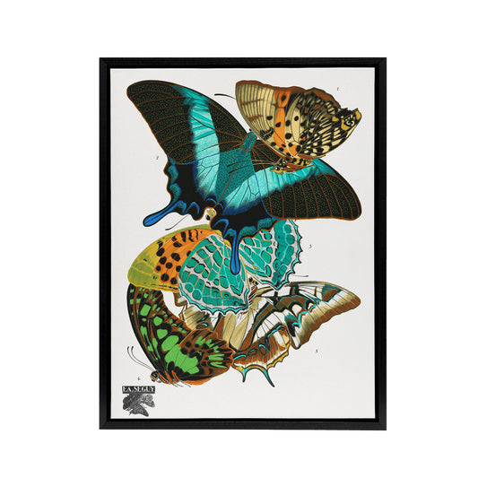 Vintage Colourful Butterflies Framed Canvas Wall Art Print Eugene Seguy